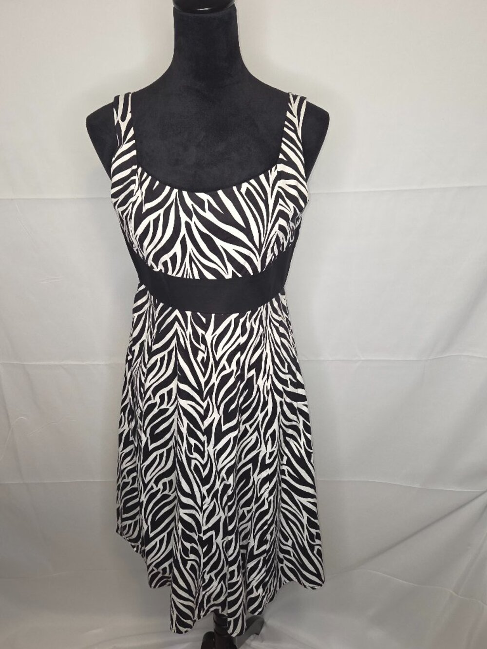Isadora Collection Dress Size 4